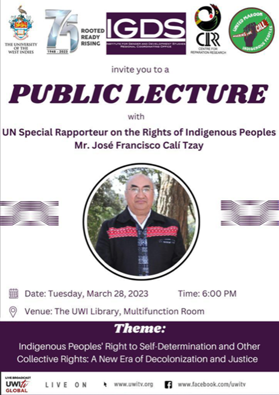 IGDS Public Lecture with UN Special Rapporteur