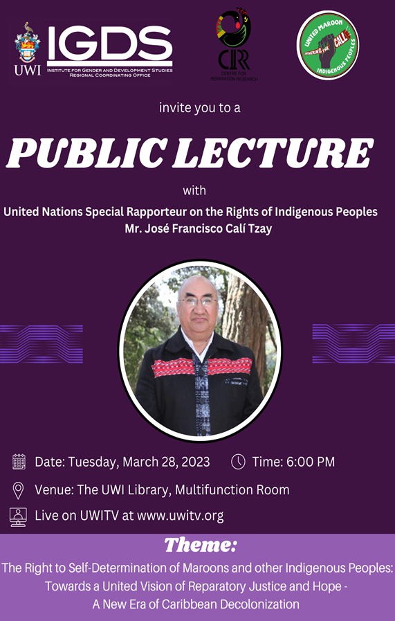 IGDS Public Lecture with UN Special Rapporteur