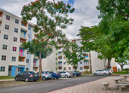 Marlene Hamilton Hall